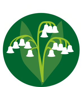 GLD - the award winning golcar lily day